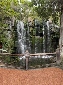 Es Pil·larí