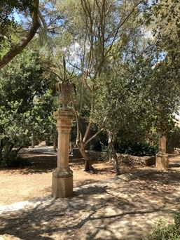 Sant Joan