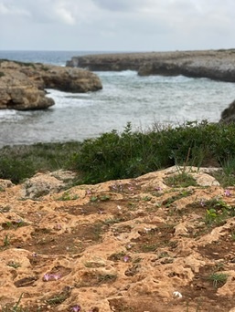 Portocristo