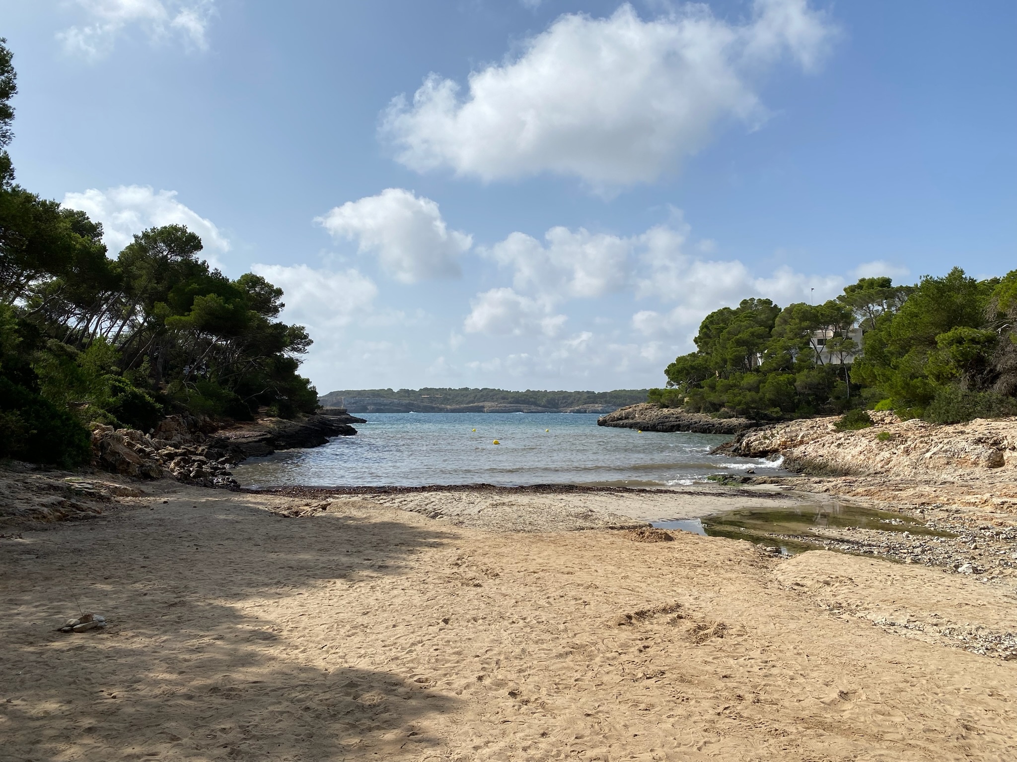 Portopetro
