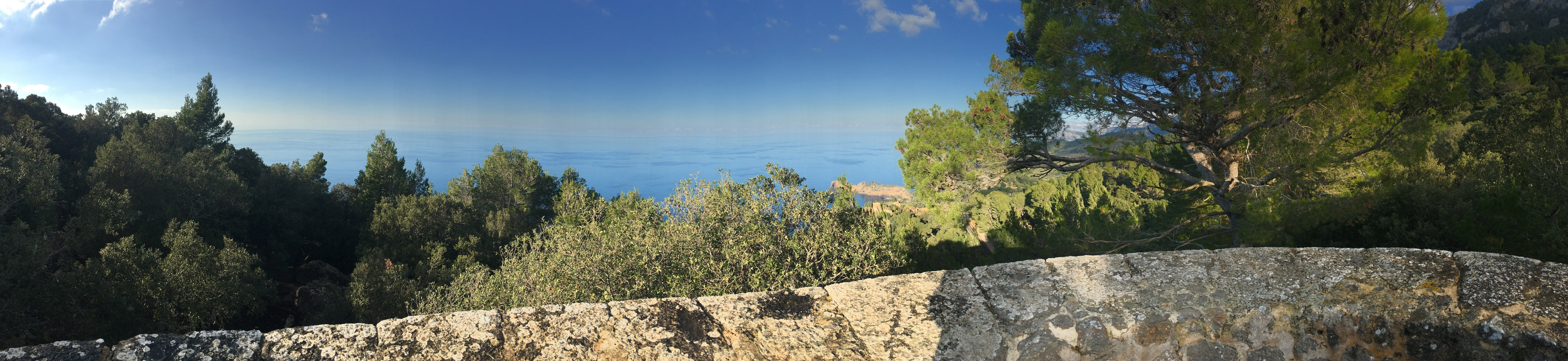 Valldemossa