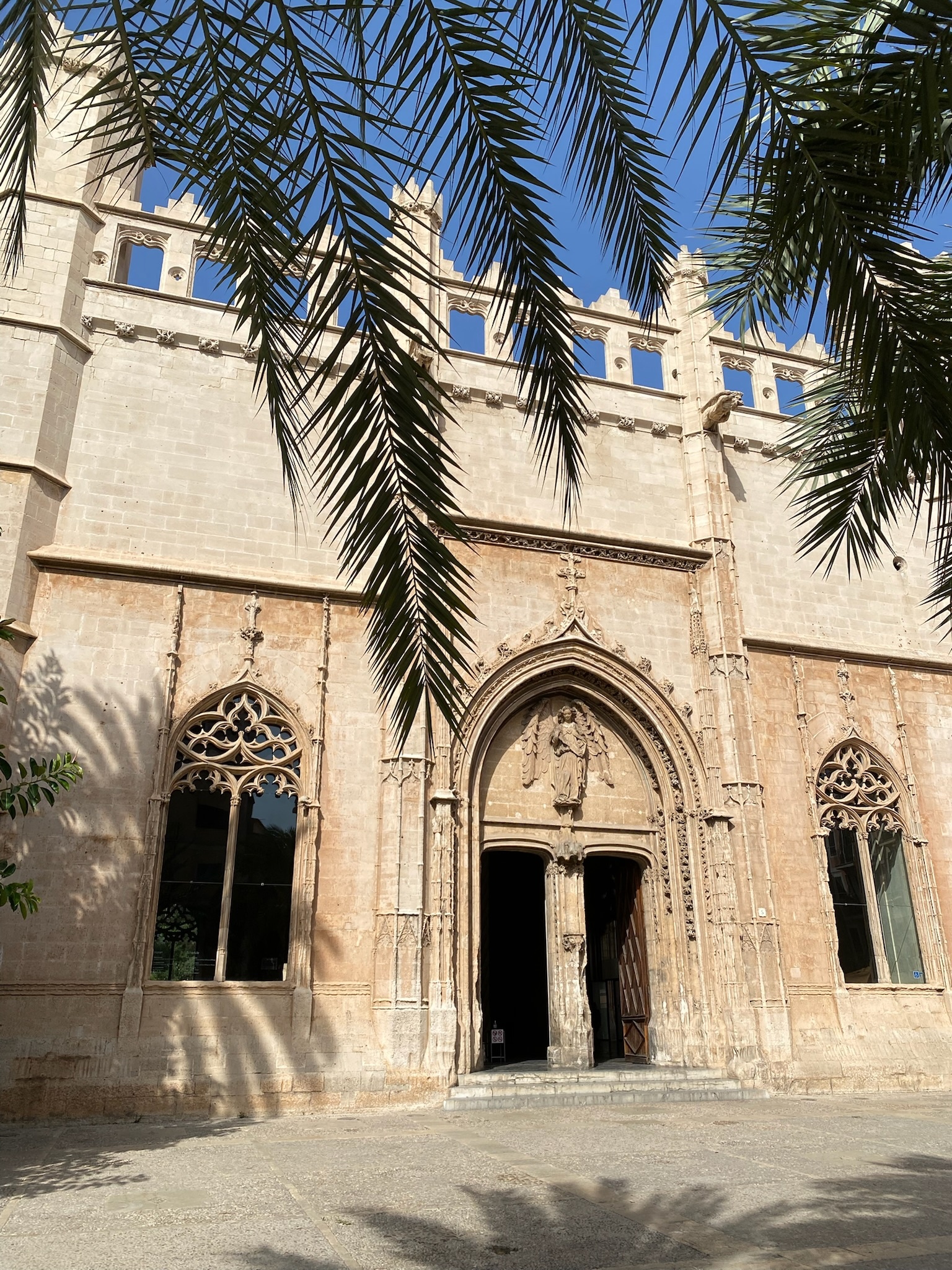 Palma