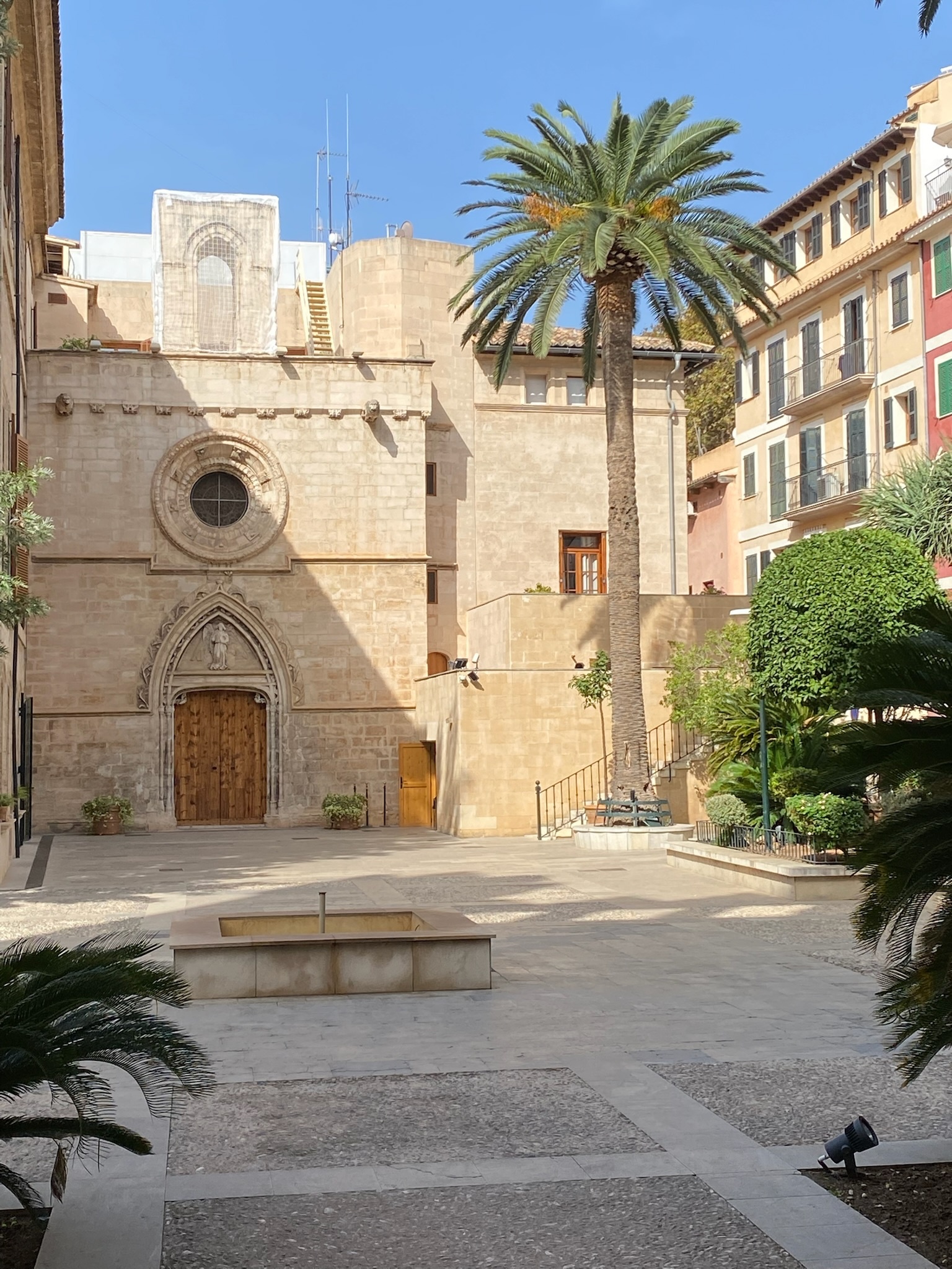 Palma