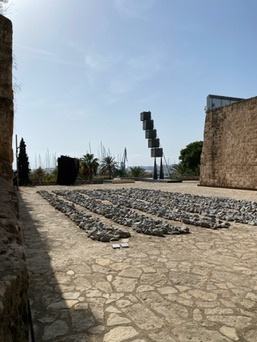 Palma