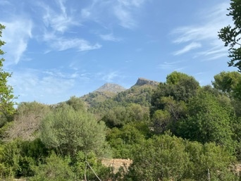es Capdellà