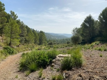 Galiläa