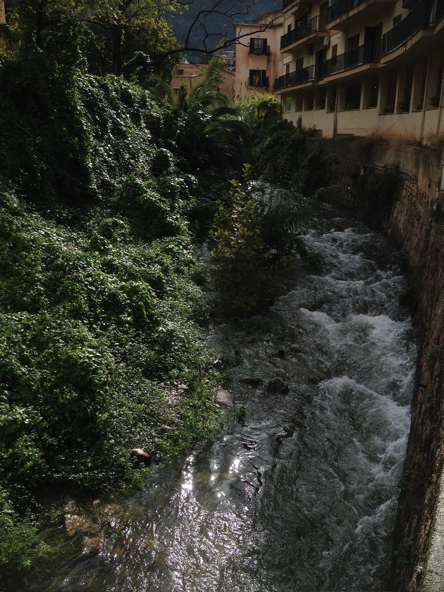 Sóller
