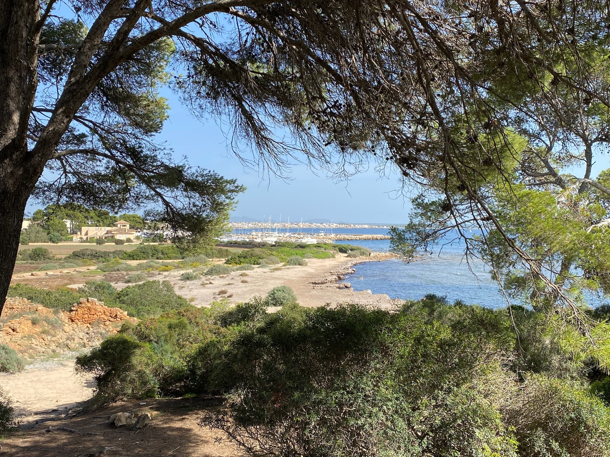 s'Estanyol de Migjorn