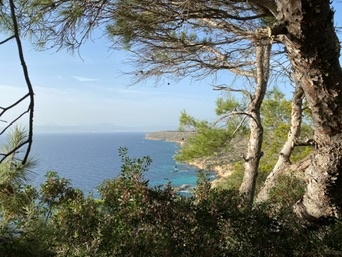 Badia Blava