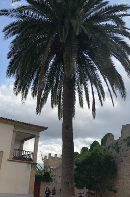 Alcádia