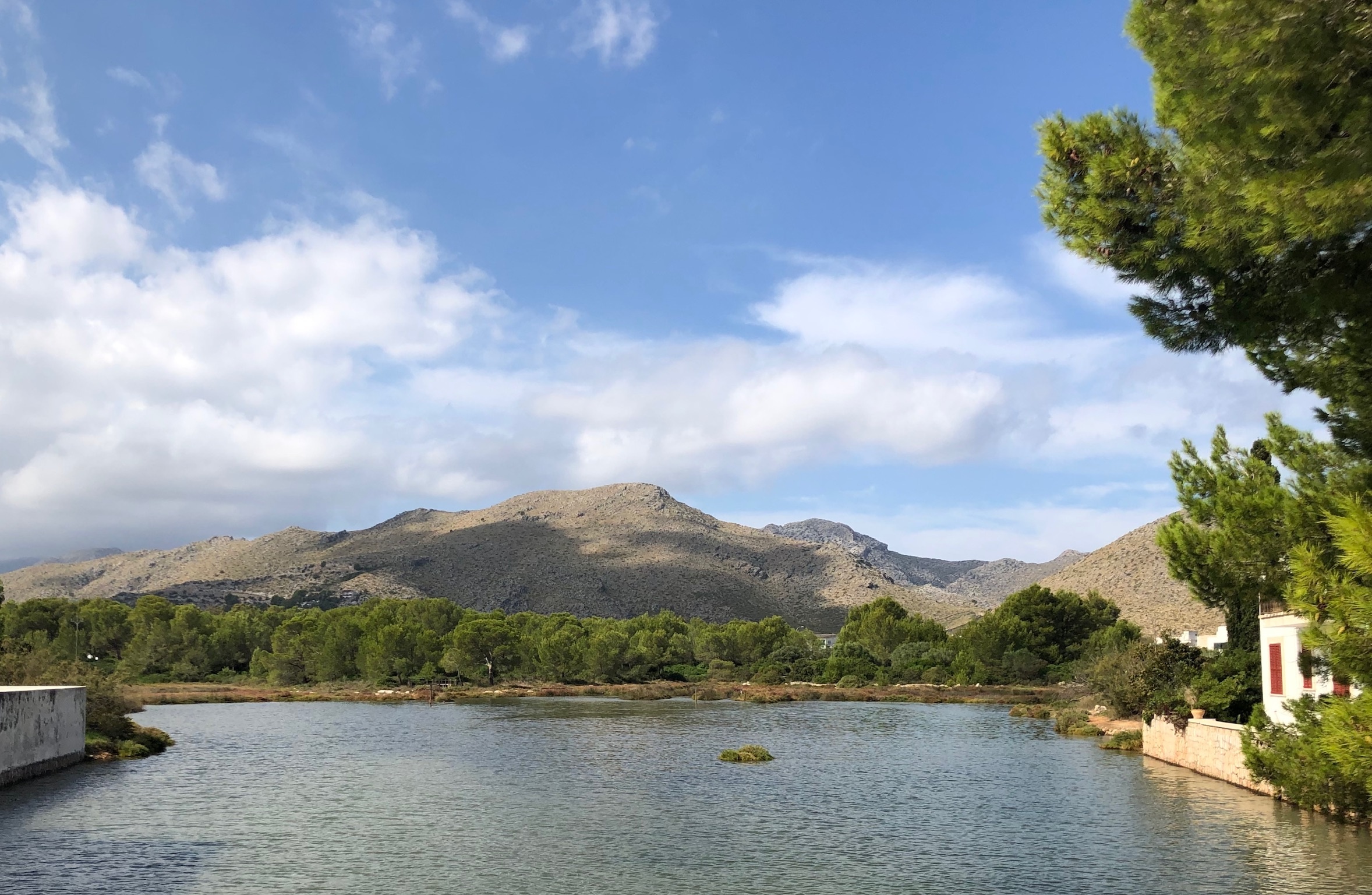 Puerto de Pollença