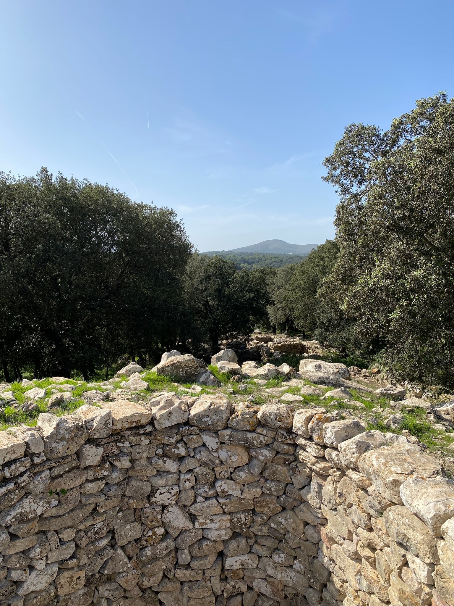 Artà