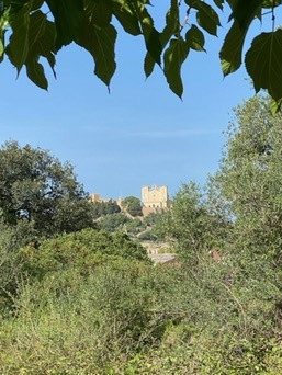 Artà