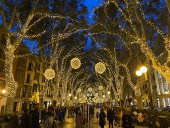 Palma