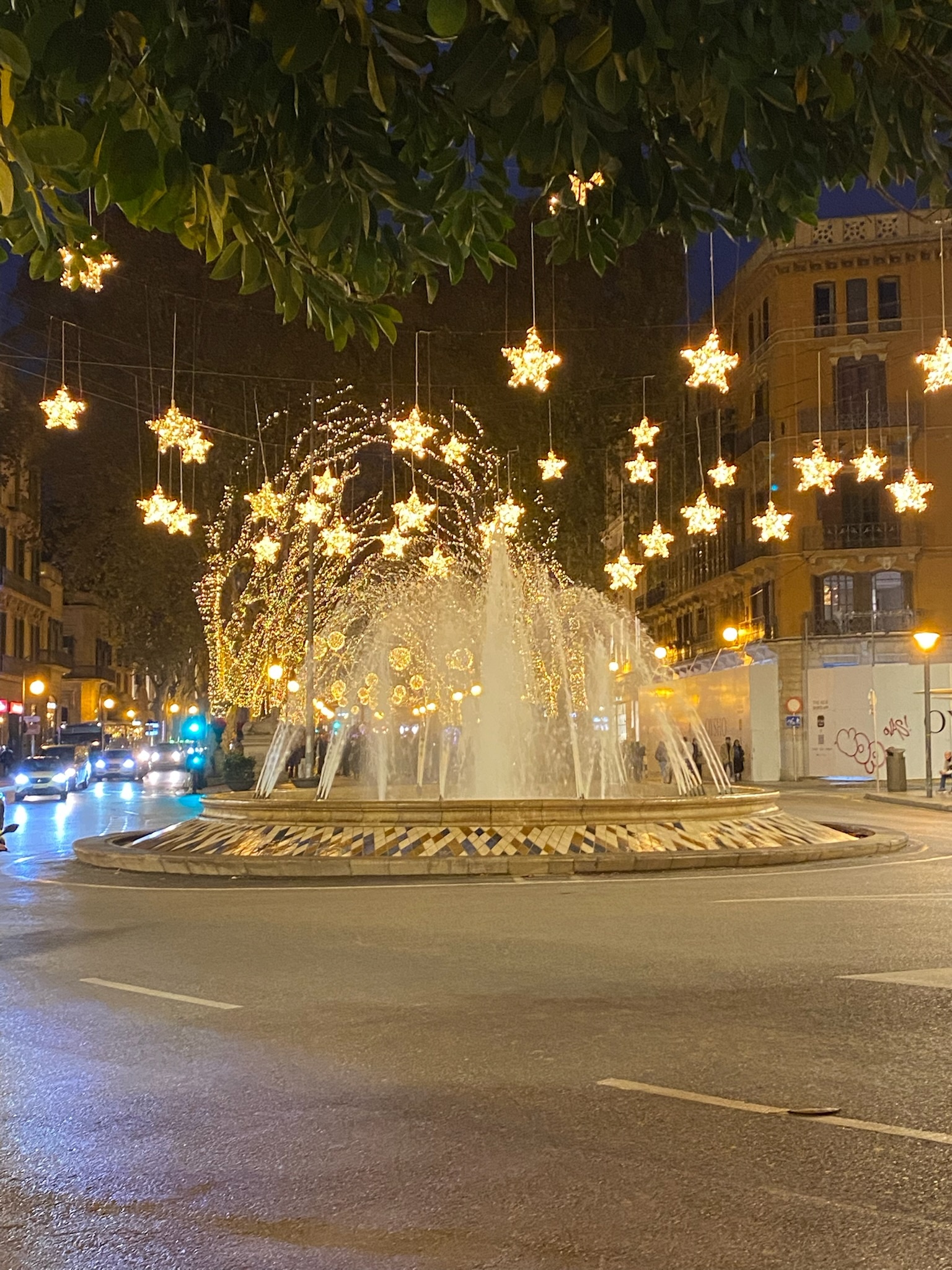 Palma