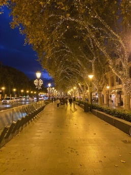 Palma