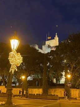 Palma