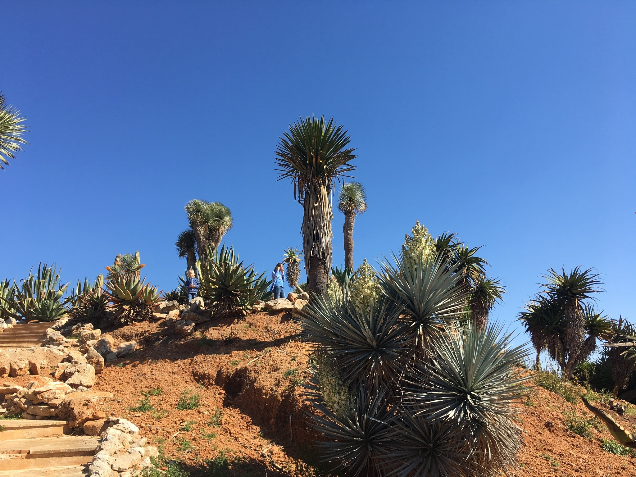 ses Salines