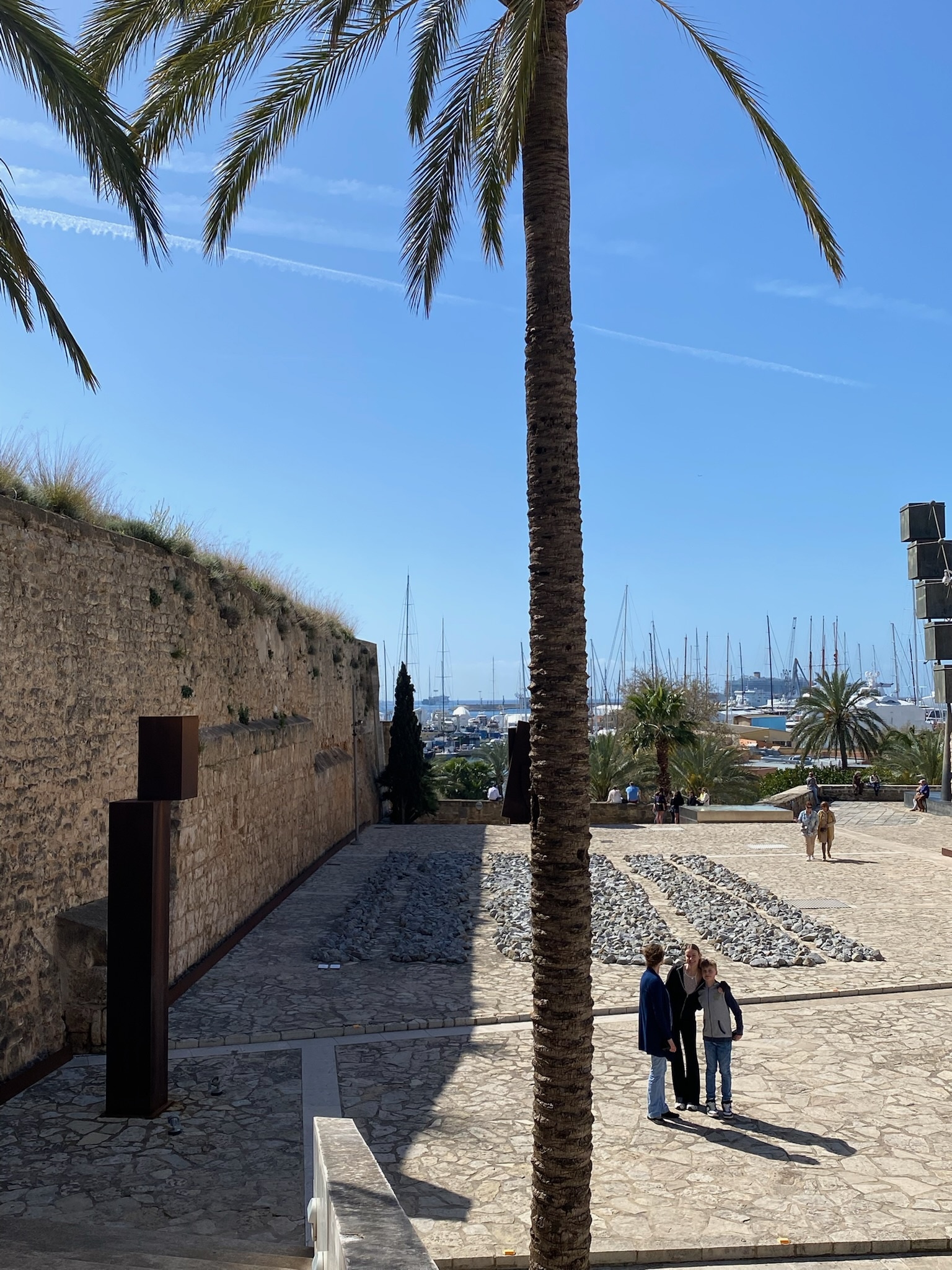 Palma