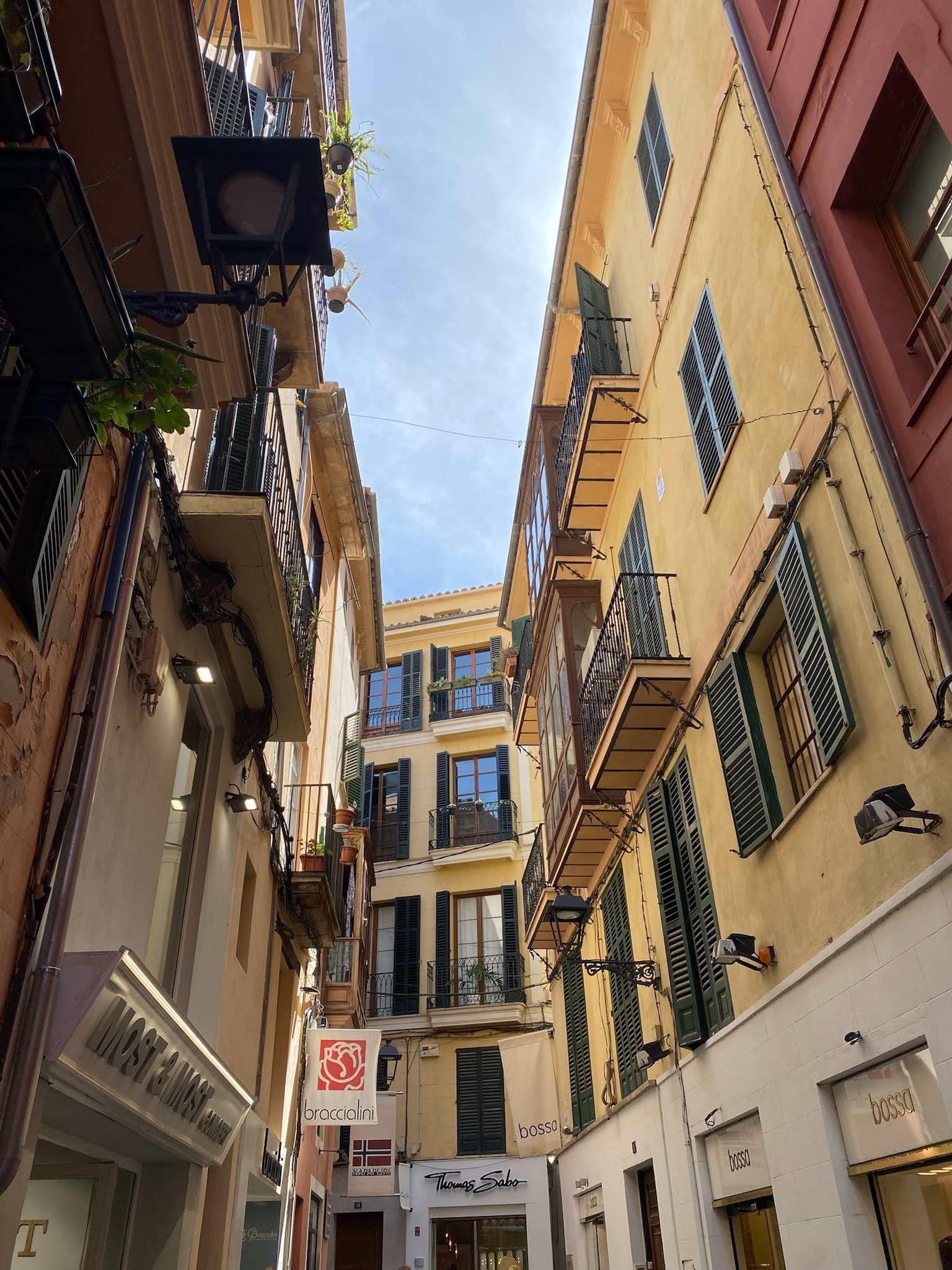 Palma