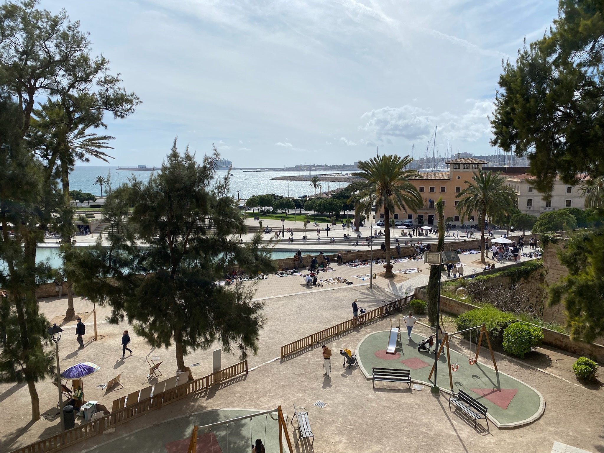 Palma