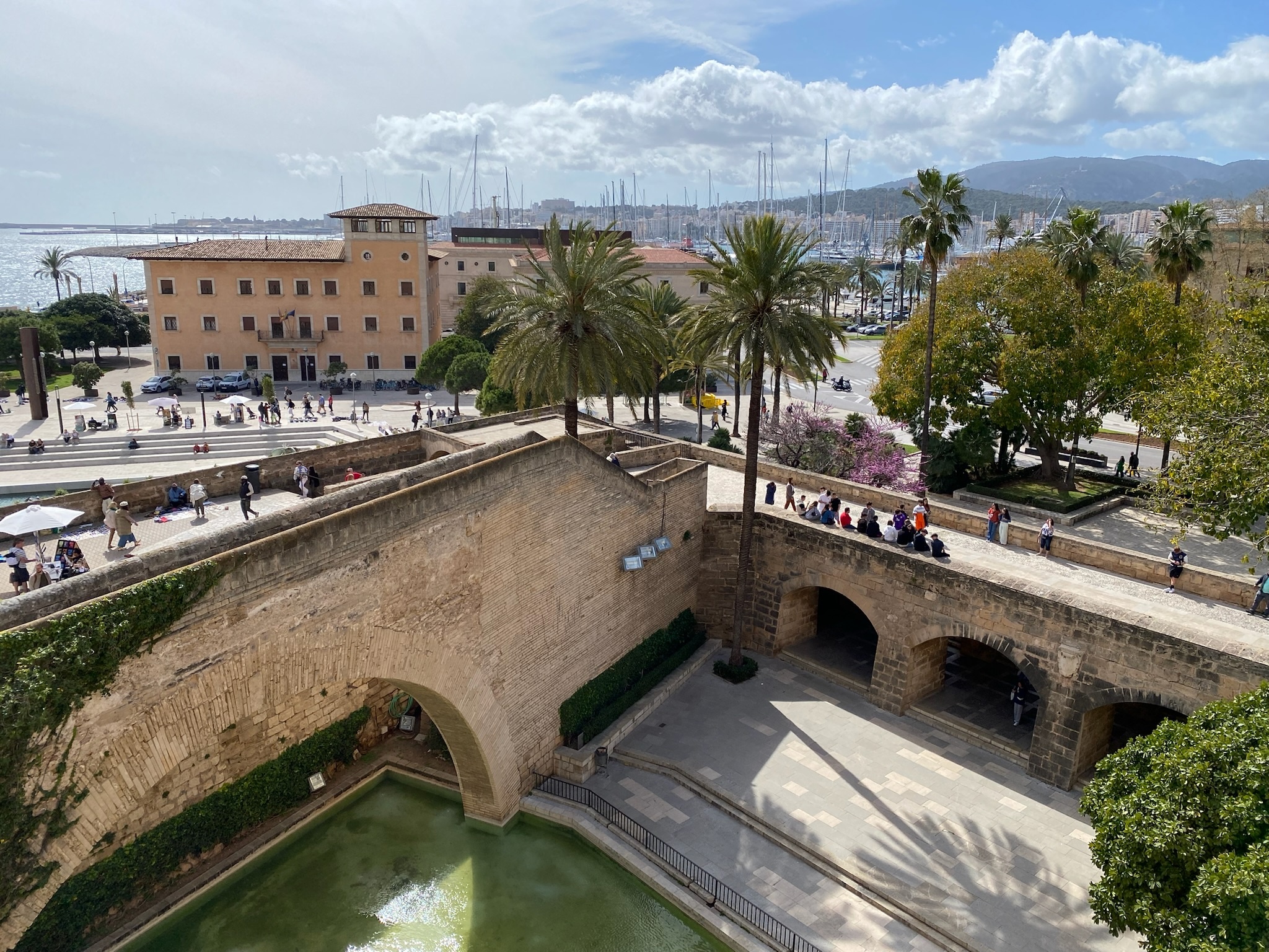 Palma