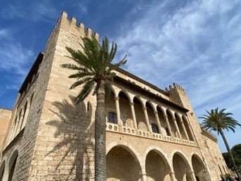 Palma