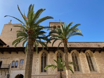 Palma