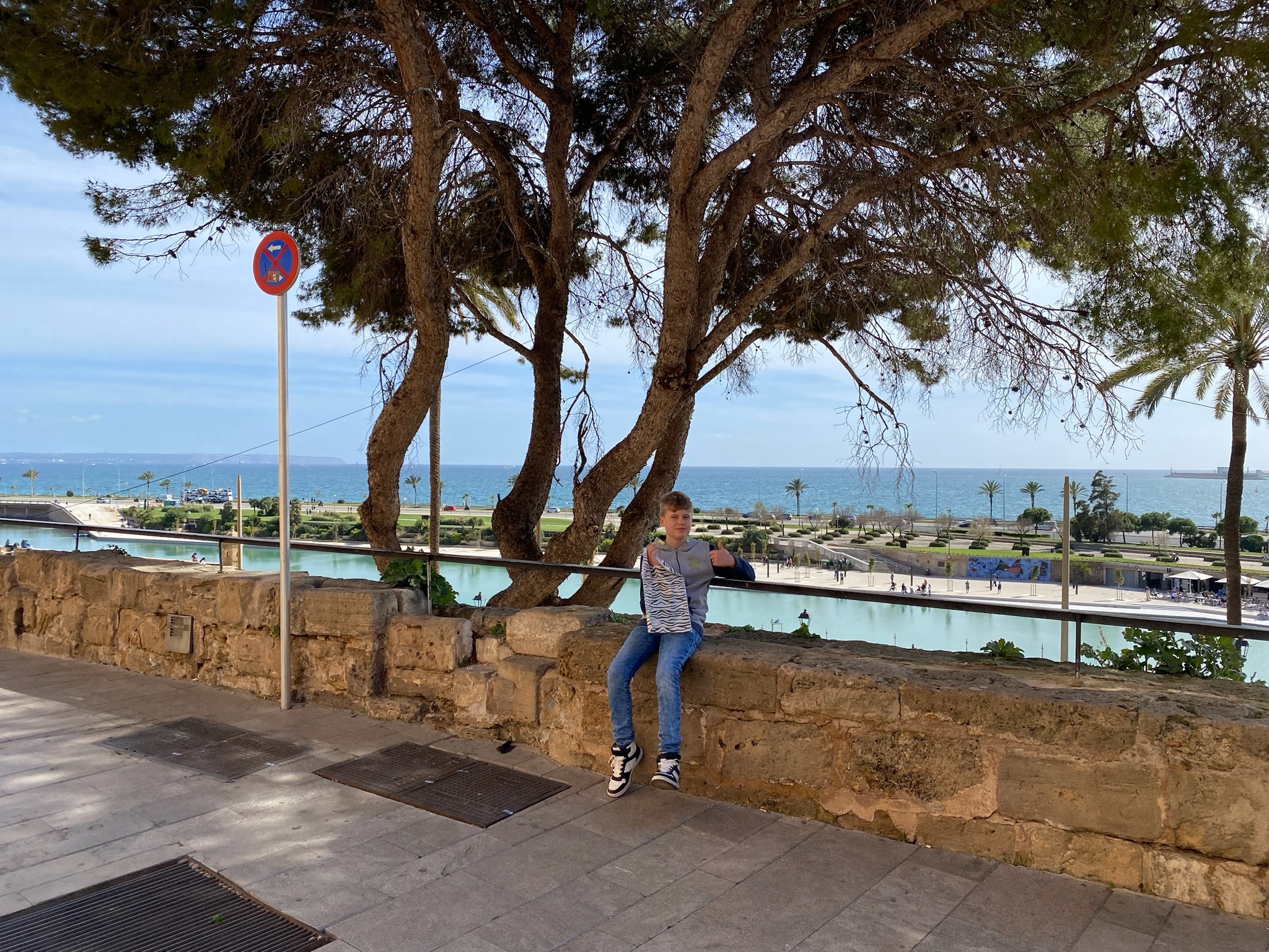 Palma