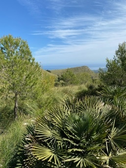 Artà
