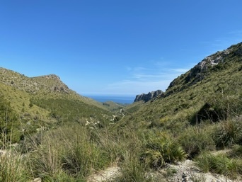 Artà