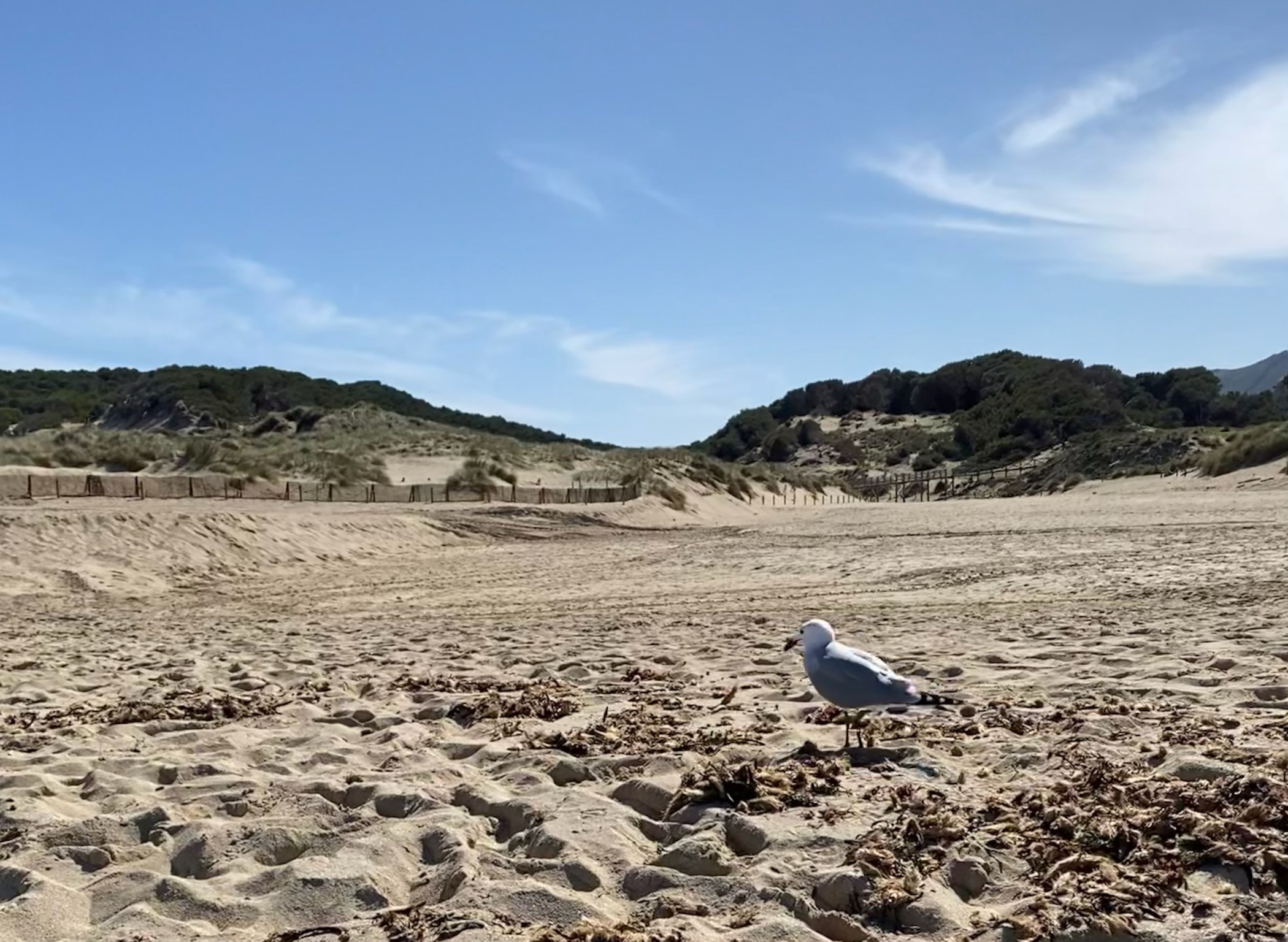 Cala Mesquida