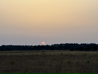 Santanyí
