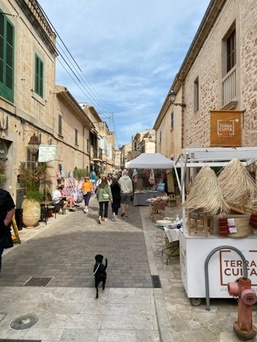 Santanyí