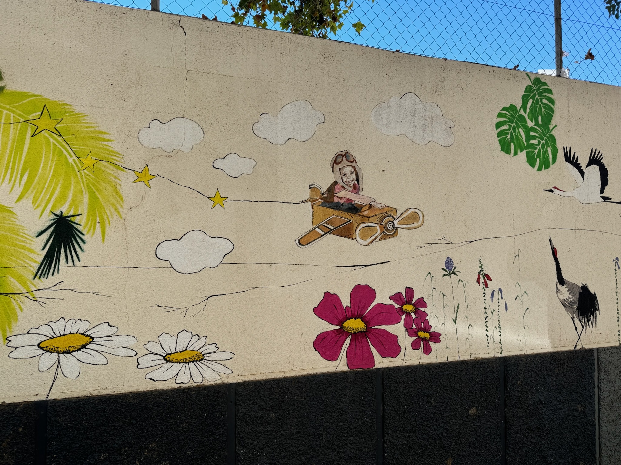 Palma