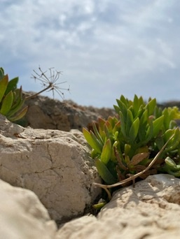 Cala Santanyí