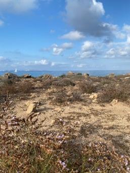 sa Vall