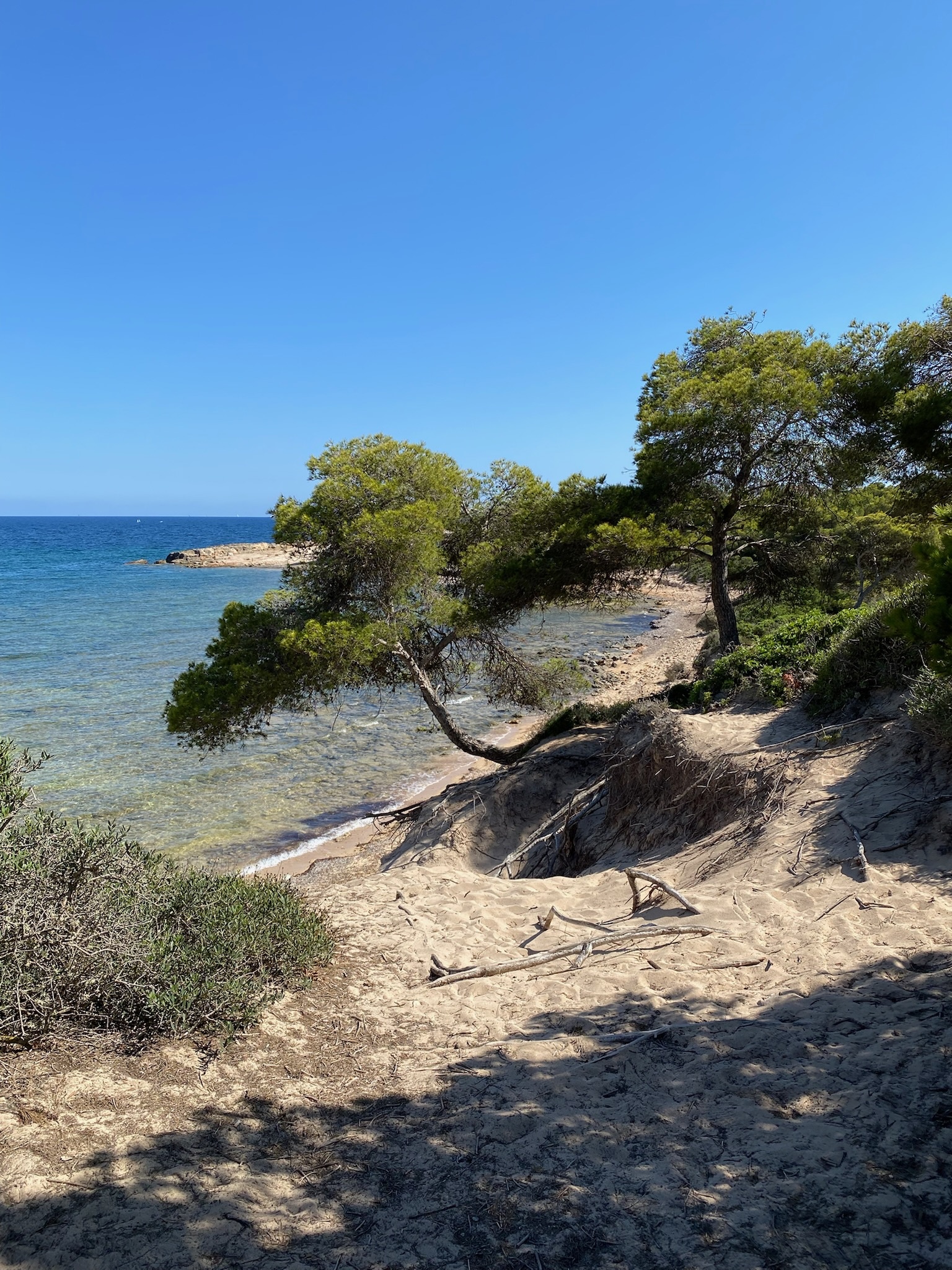 s'Estanyol de Migjorn
