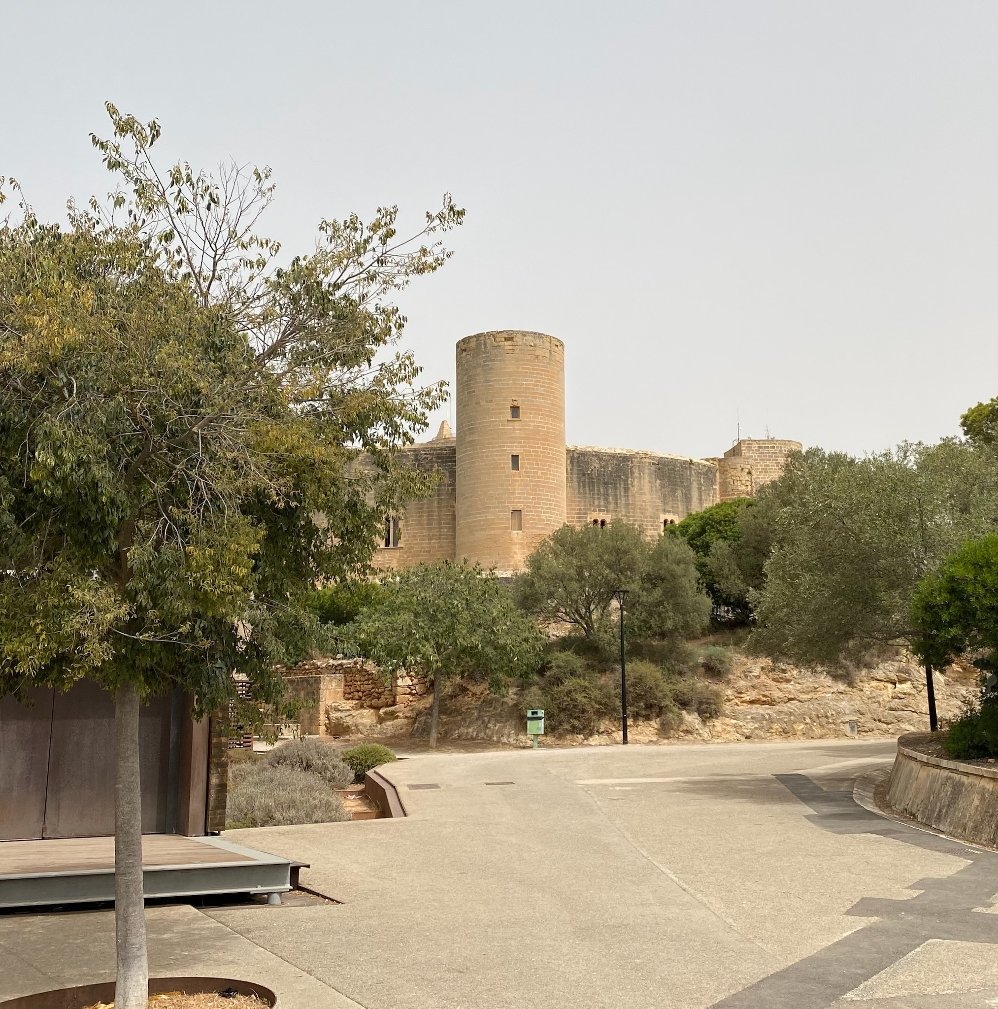 Palma