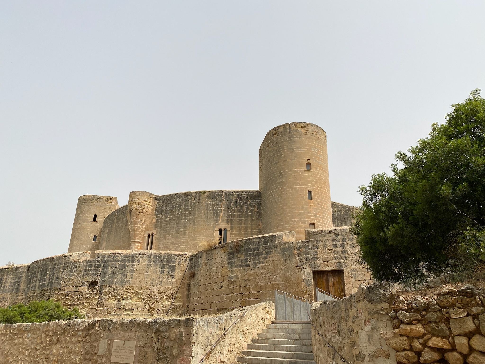 Palma