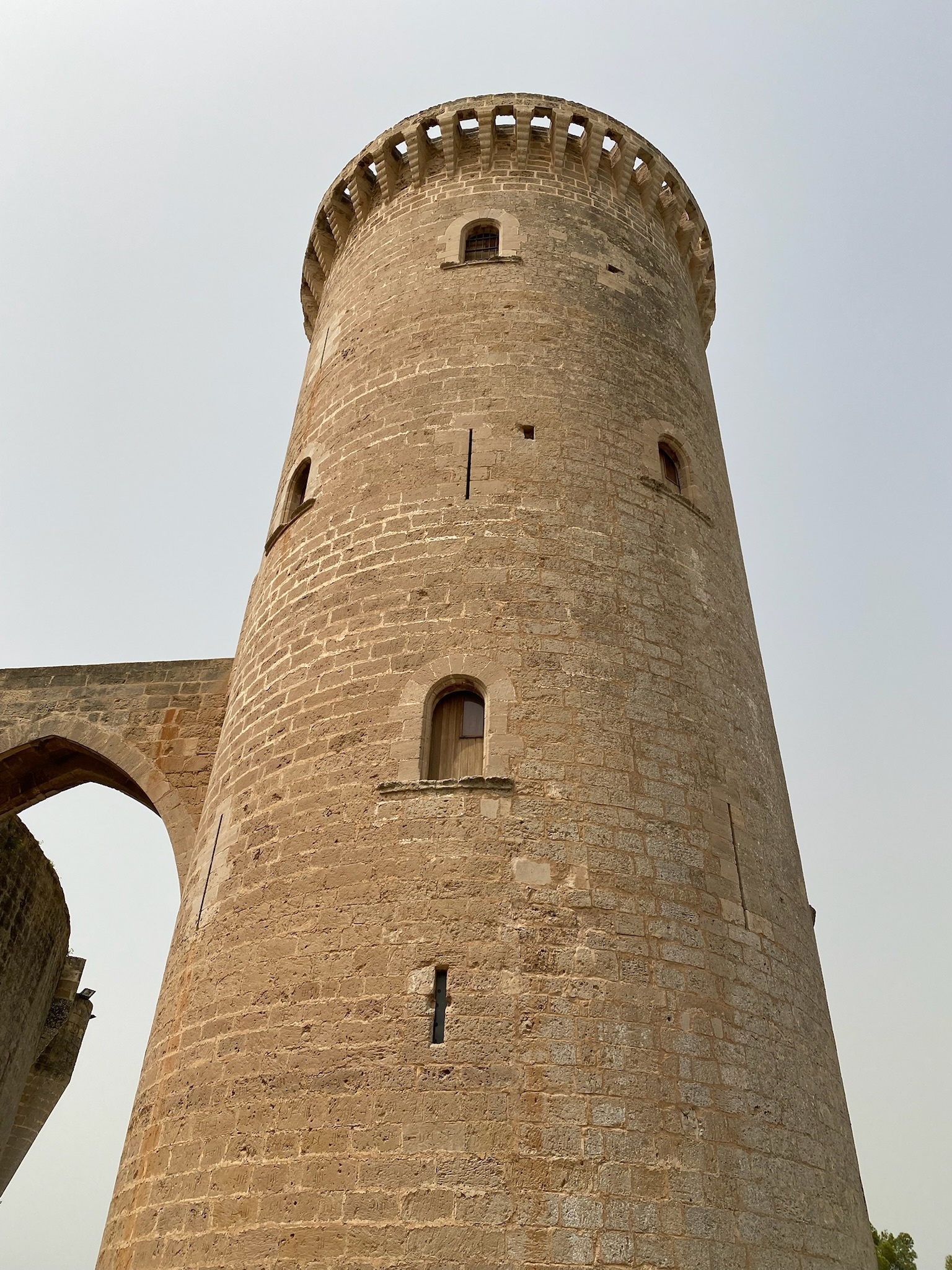 Palma