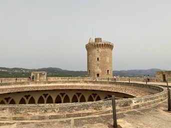 Palma