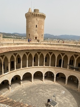 Palma