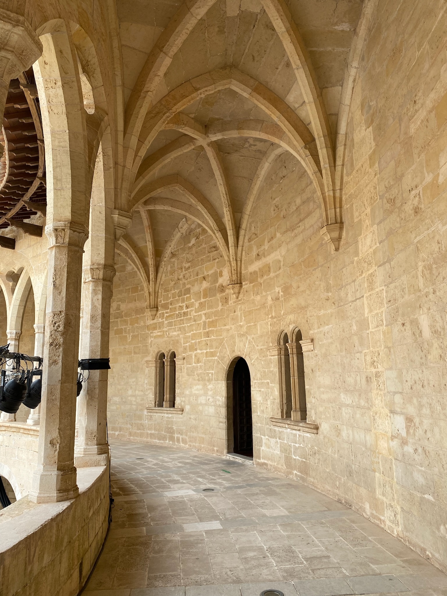 Palma