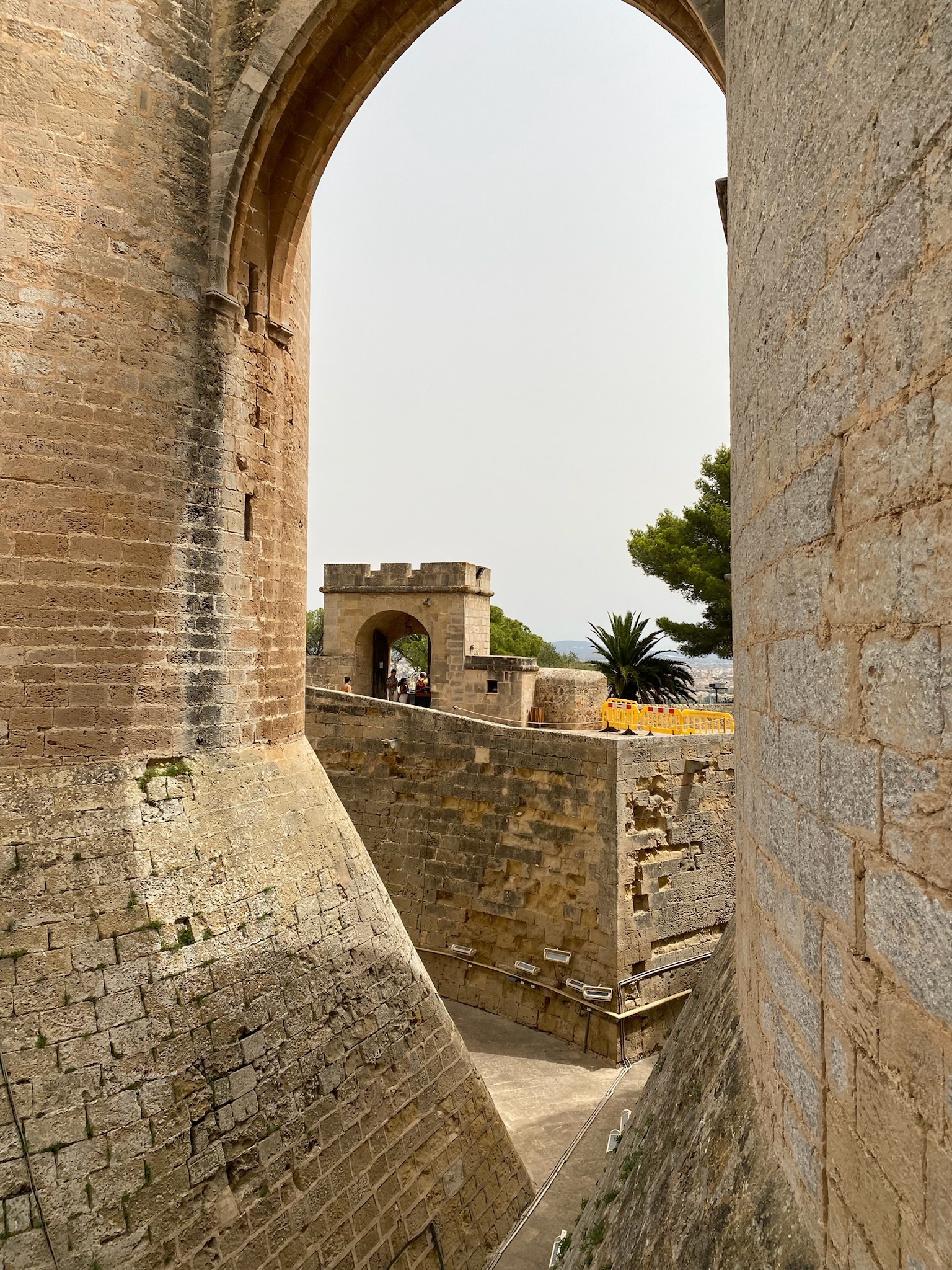 Palma