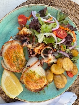 Portopetro