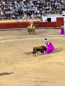 Palma