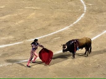 Palma