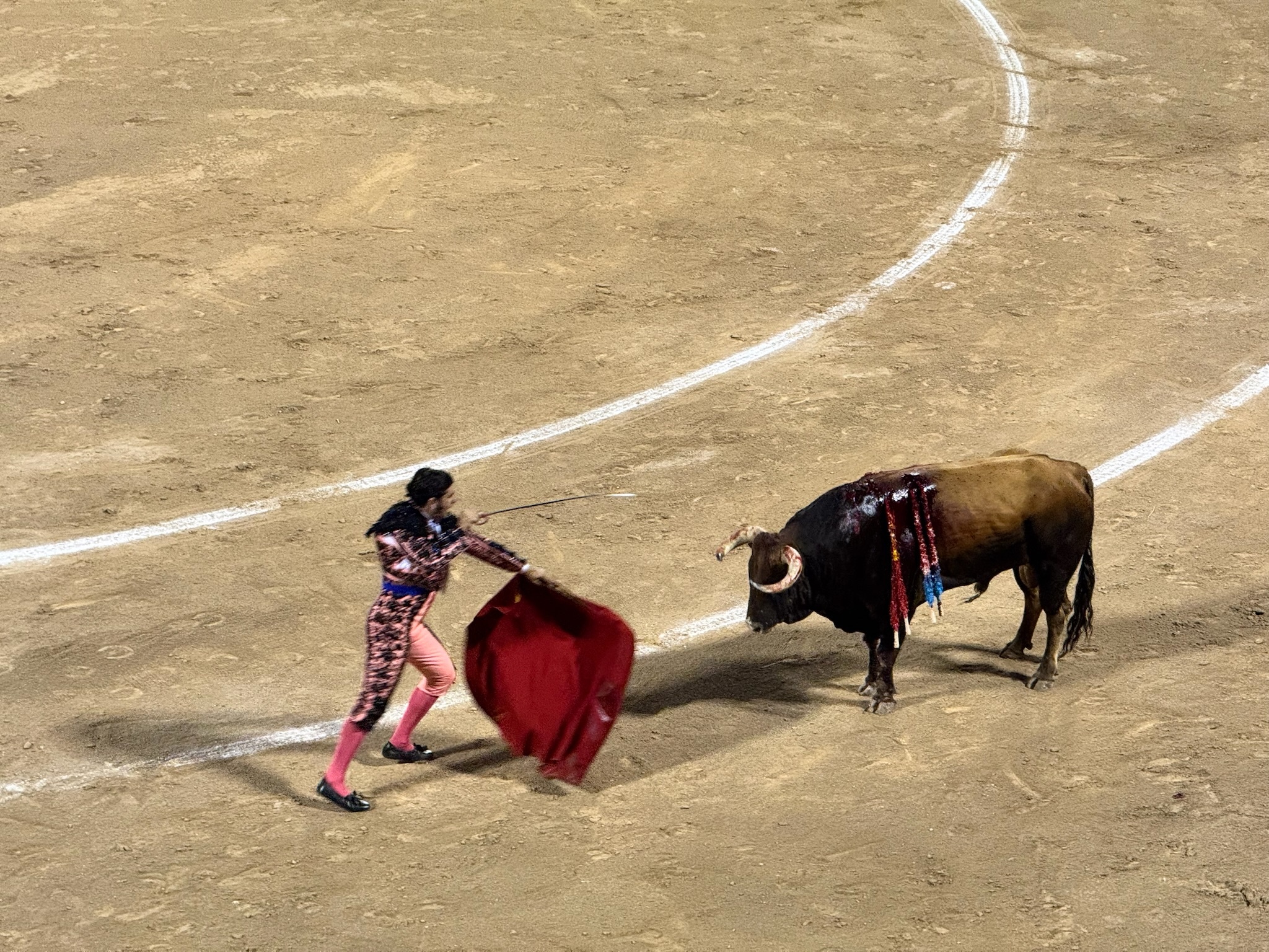 Palma