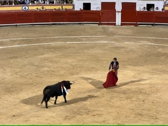 Palma